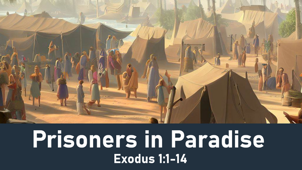Prisoners in Paradise