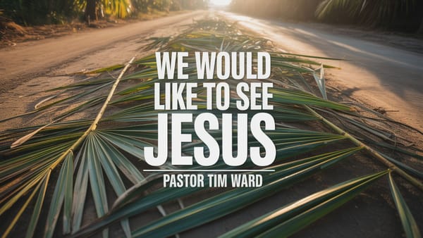 We Would Like to See Jesus