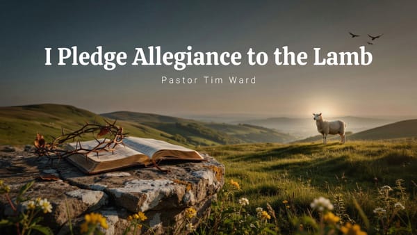 I Pledge Allegiance to the Lamb