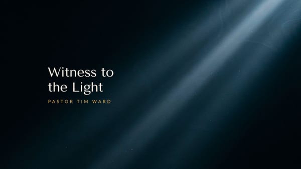 Witness to the Light