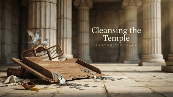 Cleansing the Temple