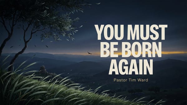 You Must Be Born Again